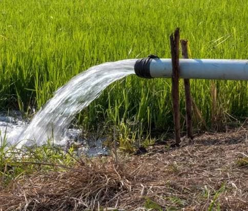 Green agricultural fields with irrigation